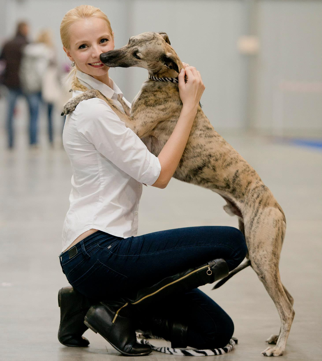 První whippet - Dexter chrt jako žádný jinný