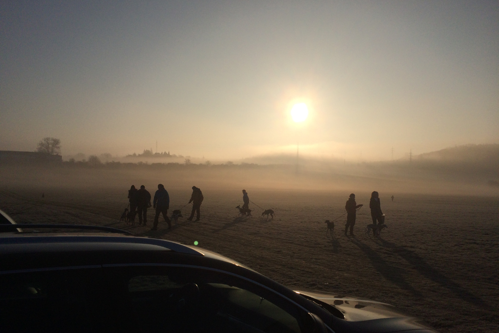 Spuštění e-shopu ProChrta.cz