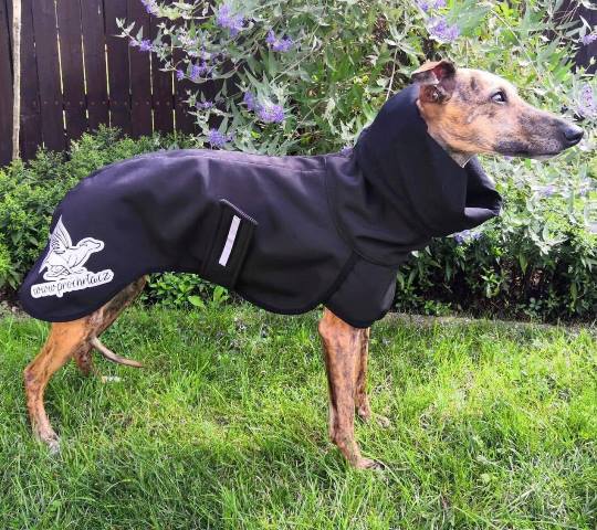 Náhled ProChrta.cz Softshellová pláštěnka BLACK is BACK