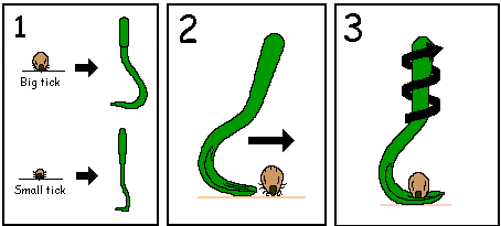 Náhled  Háček na klíšťata 2ks malý + velký háček