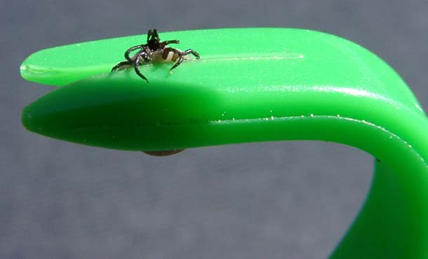 Náhled  Háček na klíšťata 2ks malý + velký háček