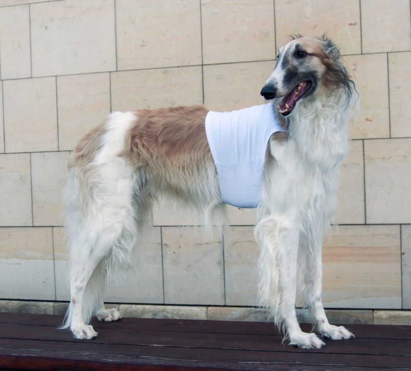 Náhled  Coursingový set závodních deček SUPREME BÍLÁ + ČERVENÁ XS