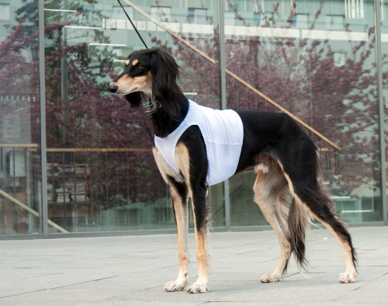 Náhled  Coursingová dečka SUPREME XL