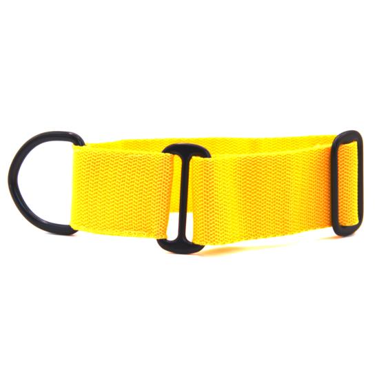 nylonovy-obojek-basic-4-cm-1203_(1)_(1).jpeg