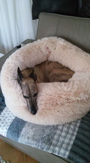 Náhled  Plyšové chlupaté hnízdo - pelíšek a tulipytlík v jednom! 80 cm