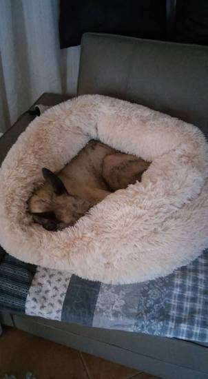 Náhled  Plyšové chlupaté hnízdo - pelíšek a tulipytlík v jednom! 80 cm