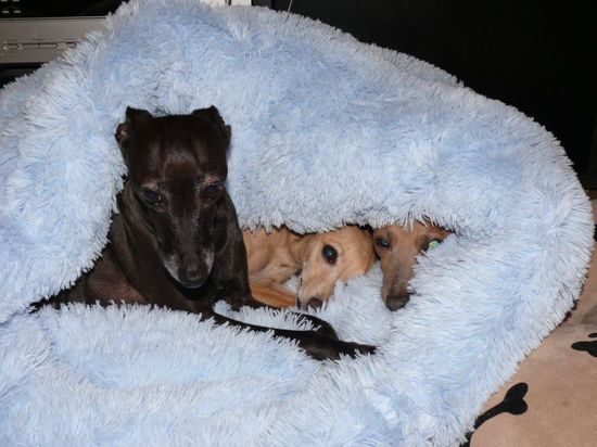 Náhled  Plyšové chlupaté hnízdo - pelíšek a tulipytlík v jednom! 80 cm