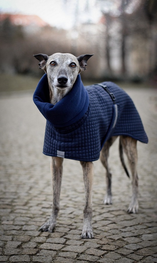 Náhled ProChrta.cz Bunda zimní prošev LUXURY 40 cm