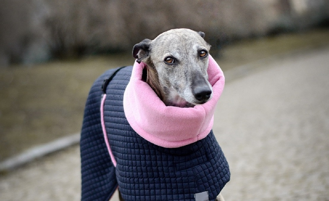 Náhled ProChrta.cz Bunda zimní prošev LUXURY 80 cm