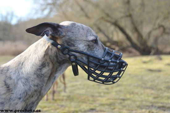 Náhled  Košík na dostihy a coursing