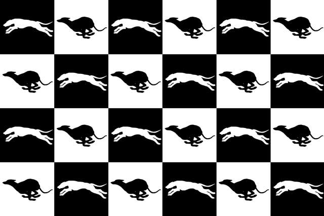 Náhled ProChrta.cz Svetr BLACK & WHITE S CHRTY