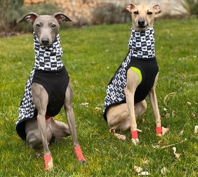 Náhled ProChrta.cz Svetr BLACK & WHITE S CHRTY