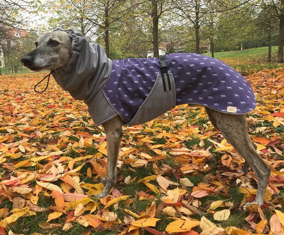 Náhled ProChrta.cz Bunda zimní softshell KISS by BLUE HOUND 60 cm