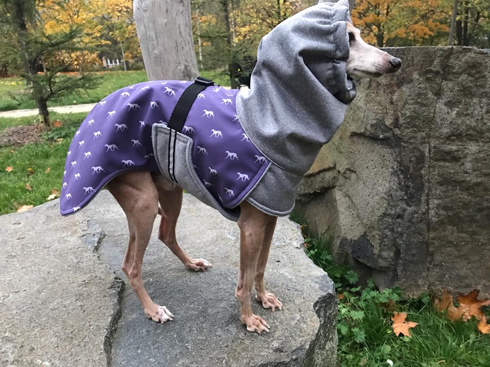 Náhled ProChrta.cz Bunda zimní softshell KISS by BLUE HOUND 60 cm