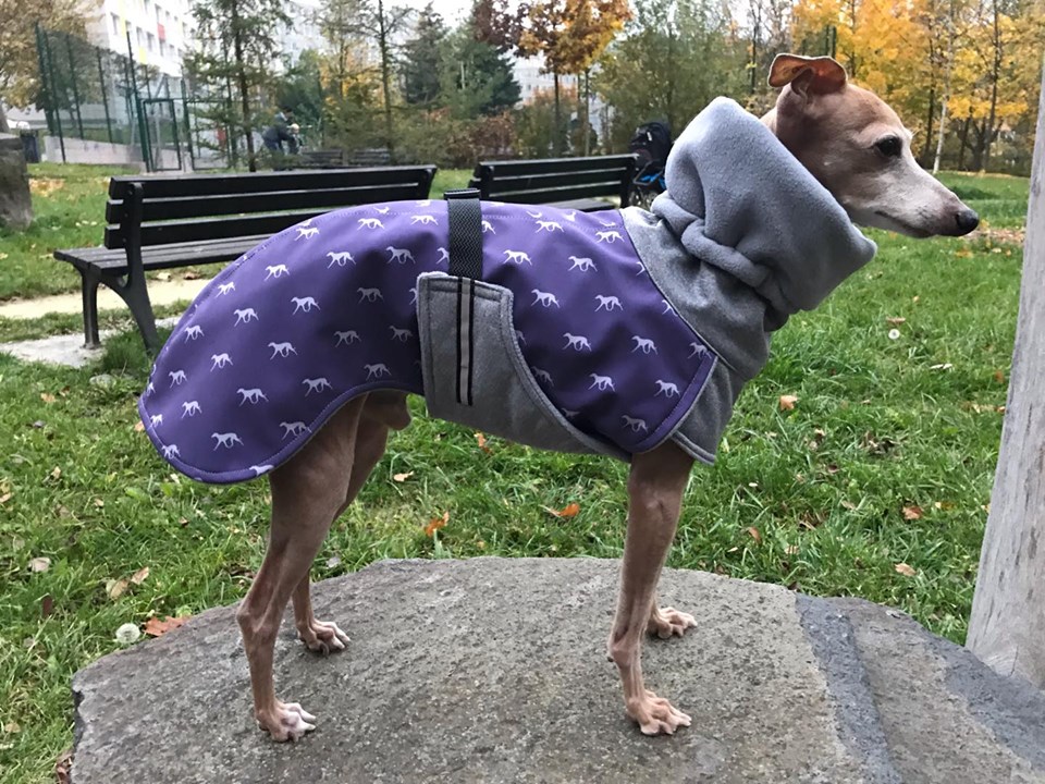 Náhled ProChrta.cz Bunda zimní softshell KISS by BLUE HOUND 60 cm