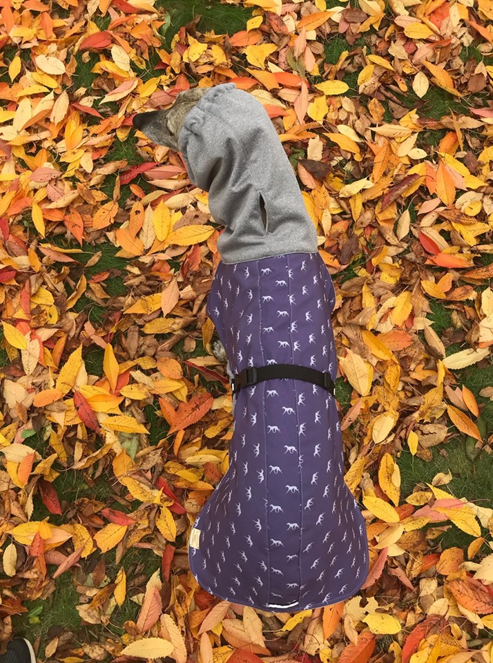 Náhled ProChrta.cz Bunda zimní softshell KISS by BLUE HOUND 55 cm