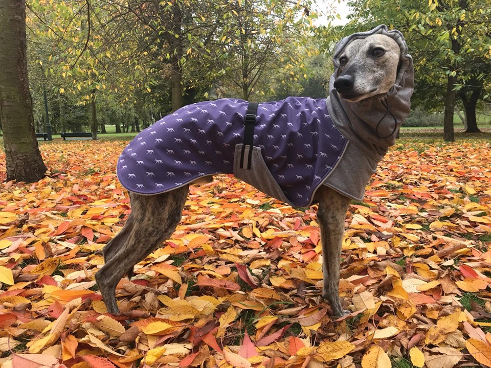 Náhled ProChrta.cz Bunda zimní softshell KISS by BLUE HOUND 55 cm