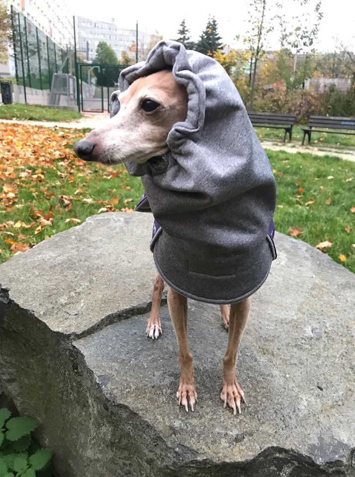 Náhled ProChrta.cz Bunda zimní softshell KISS by BLUE HOUND 50 cm