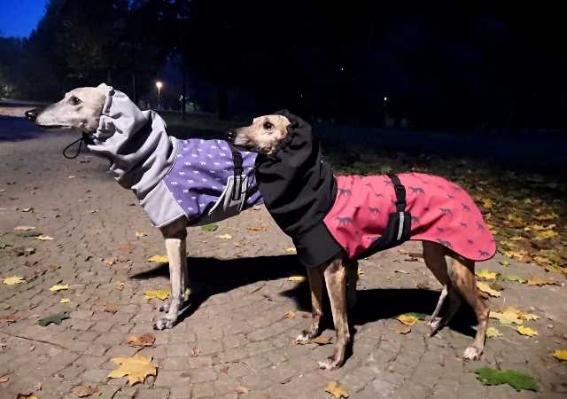 Náhled ProChrta.cz Bunda zimní softshell KISS by WINE HOUND 38 cm