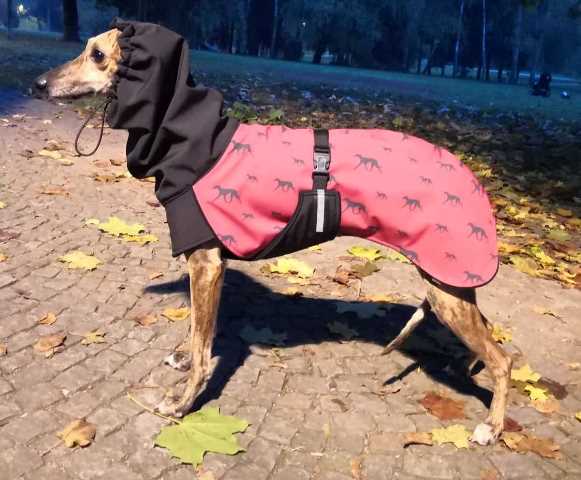 Náhled ProChrta.cz Bunda zimní softshell KISS by WINE HOUND 38 cm