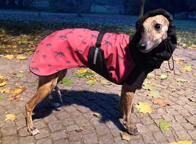 Náhled ProChrta.cz Bunda zimní softshell KISS by WINE HOUND 40 cm