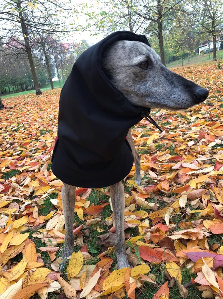 Náhled ProChrta.cz Bunda zimní softshell KISS by WINE HOUND 40 cm