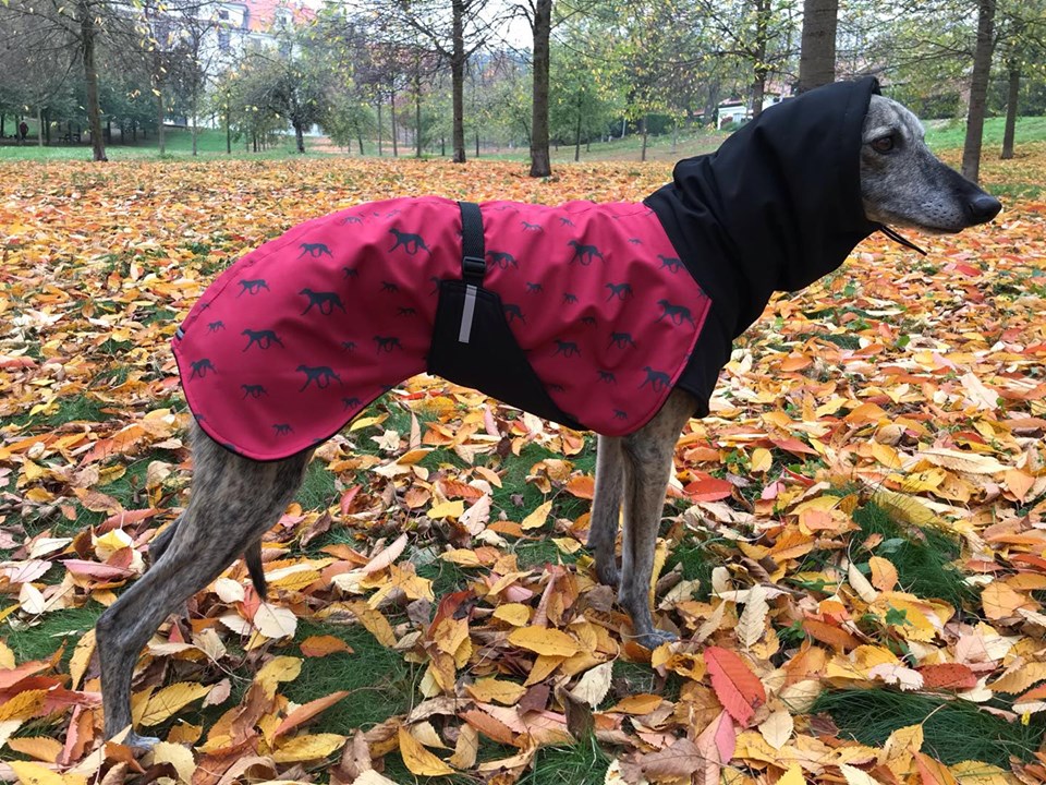 Náhled ProChrta.cz Bunda zimní softshell KISS by WINE HOUND 50 cm