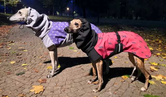 Náhled ProChrta.cz Bunda zimní softshell KISS by WINE HOUND 45 cm