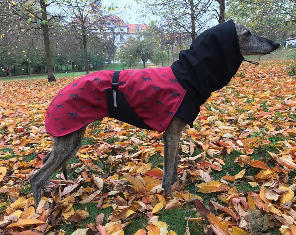 Náhled ProChrta.cz Bunda zimní softshell KISS by WINE HOUND 60 cm