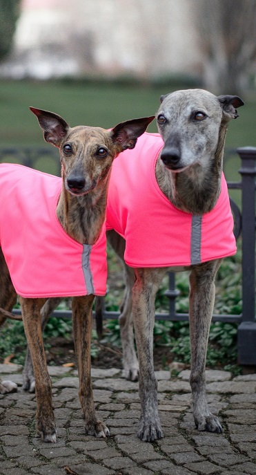 Náhled ProChrta.cz Softshellová bunda NEON DAZZLE 35 cm