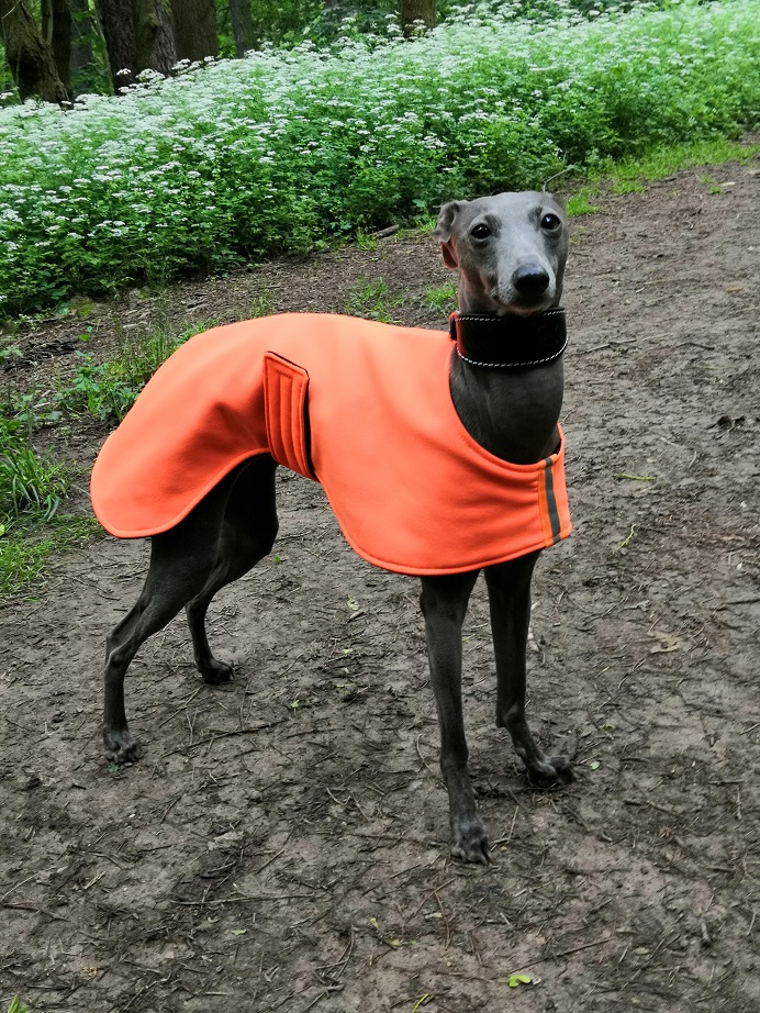 Náhled ProChrta.cz Softshellová bunda NEON DAZZLE 35 cm