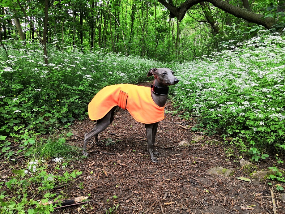 Náhled ProChrta.cz Softshellová bunda NEON DAZZLE 35 cm