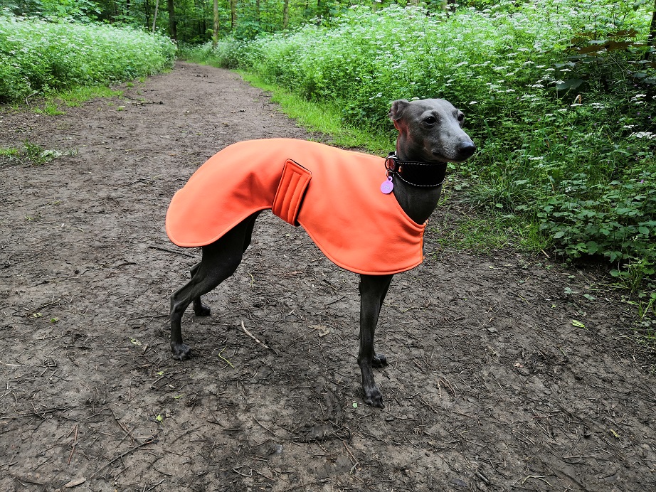 Náhled ProChrta.cz Softshellová bunda NEON DAZZLE 35 cm