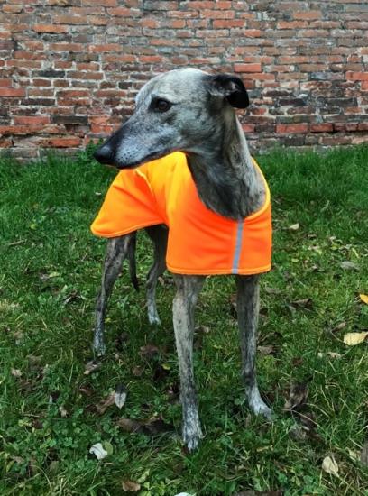 Náhled ProChrta.cz Softshellová bunda NEON DAZZLE 38 cm