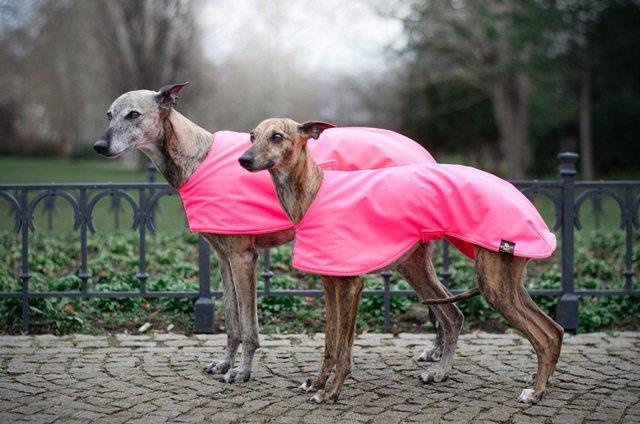 Náhled ProChrta.cz Softshellová bunda NEON DAZZLE 45 cm