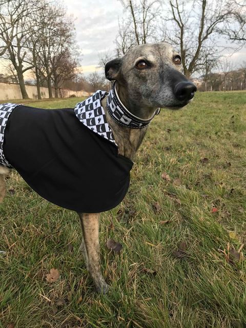 Náhled ProChrta.cz Softshellový kabátek Black & White 40 cm