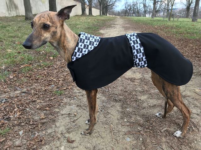 Náhled ProChrta.cz Softshellový kabátek Black & White 38 cm