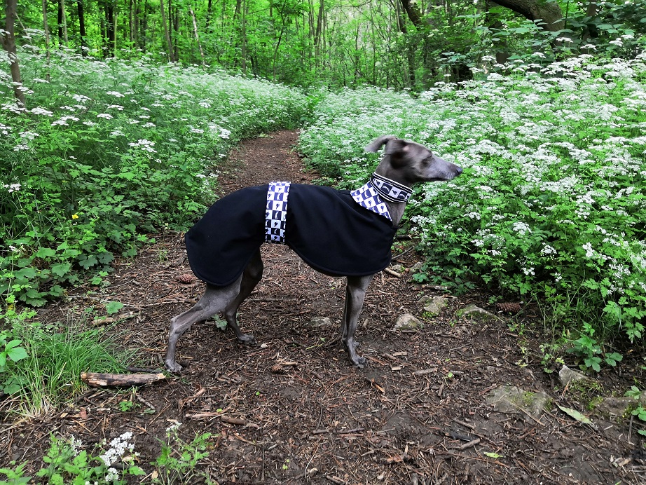 Náhled ProChrta.cz Softshellový kabátek Black & White 38 cm