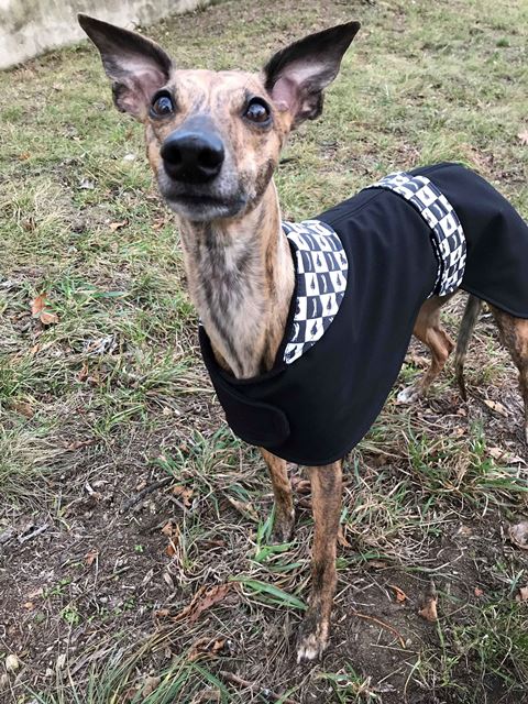 Náhled ProChrta.cz Softshellový kabátek Black & White 50 cm