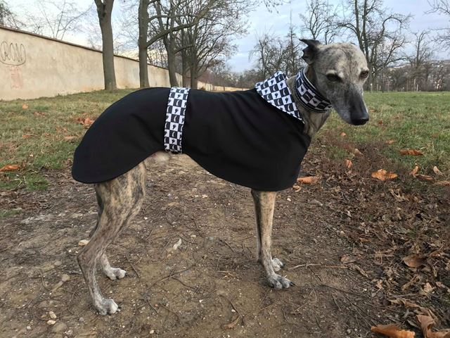 Náhled ProChrta.cz Softshellový kabátek Black & White 50 cm