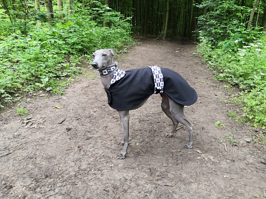 Náhled ProChrta.cz Softshellový kabátek Black & White 50 cm