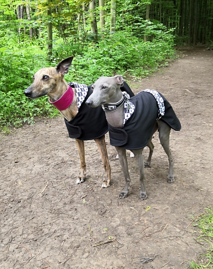 Náhled ProChrta.cz Softshellový kabátek Black & White 55 cm