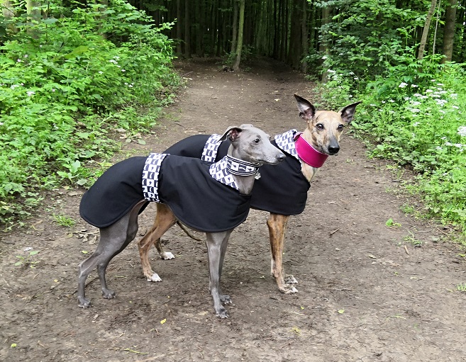 Náhled ProChrta.cz Softshellový kabátek Black & White 55 cm