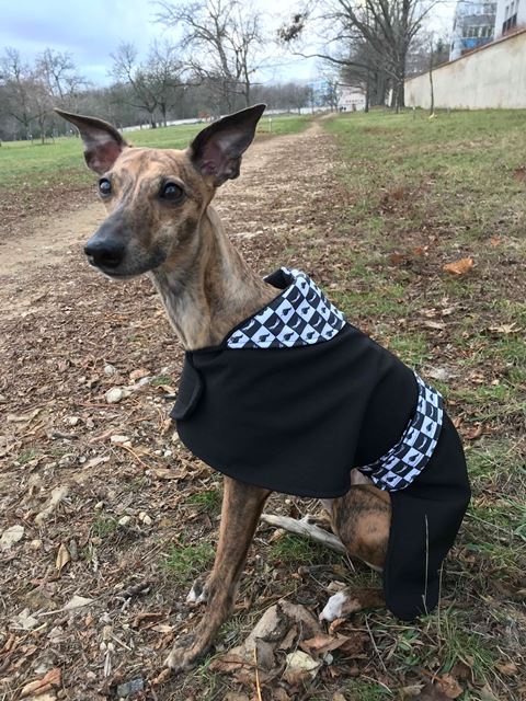 Náhled ProChrta.cz Softshellový kabátek Black & White 35 cm