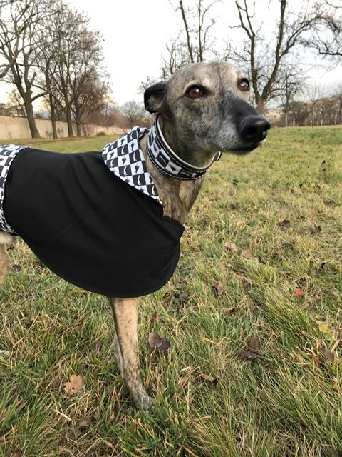 Náhled ProChrta.cz Softshellový kabátek Black & White 35 cm