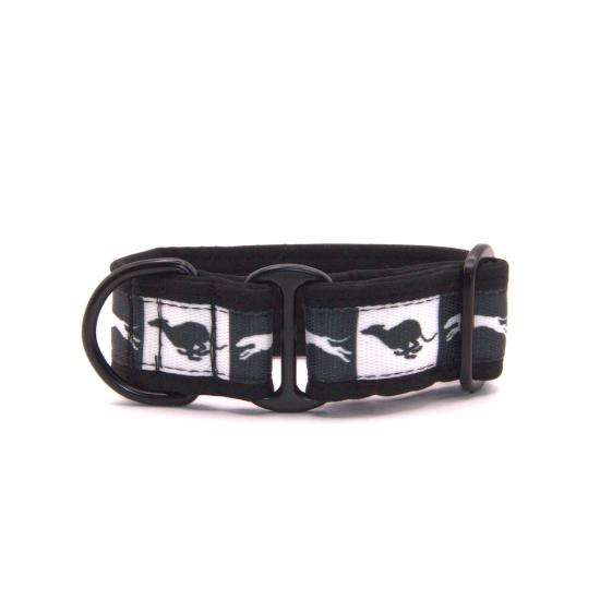 softshellovy-obojek-black--white-s-chrty-3-cm-s-1802_(1)_(1)_(1)_(1)_(1)_(1)_(1)_(1)_(1).jpeg