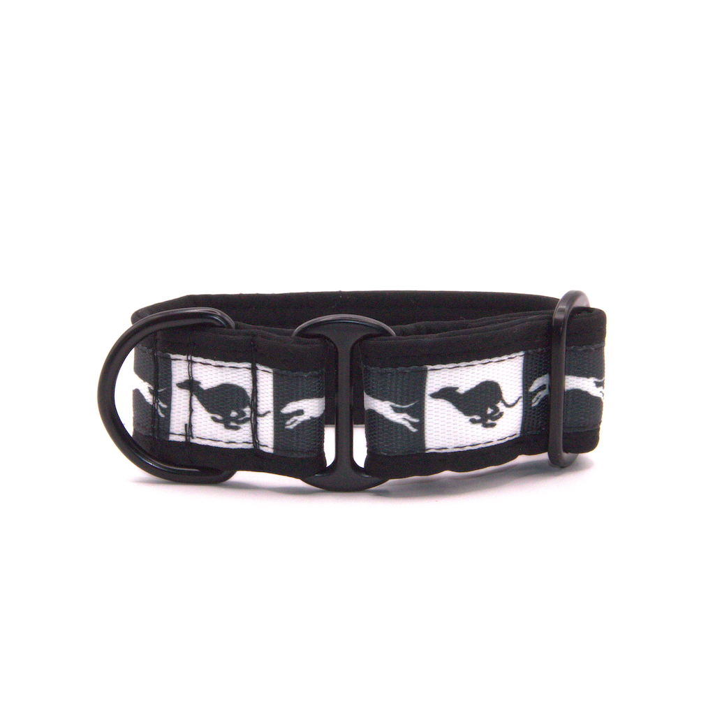 Náhled ProChrta.cz Softshellový obojek Black & White s chrty 3 cm S