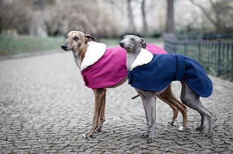 Náhled ProChrta.cz Anglický kabátek British SHERPA 60 cm