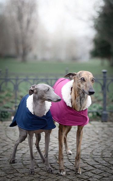 Náhled ProChrta.cz Anglický kabátek British SHERPA 45 cm