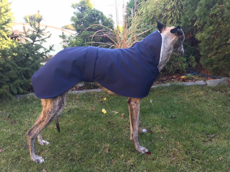 Náhled ProChrta.cz Anglický kabátek British SHERPA 40 cm